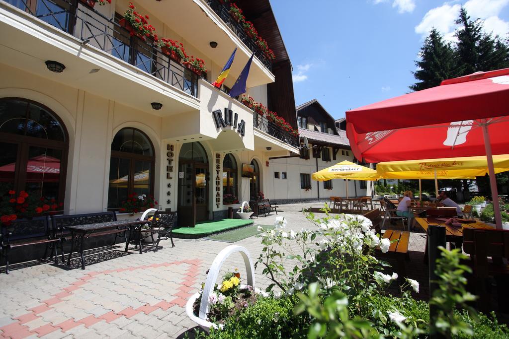 Hotel Ruia Пояна-Брашов Экстерьер фото